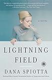 Lightning Field: A Novel