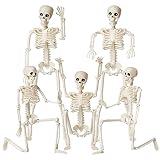 Halloween Skeletons Decorations, 16" Posable Plastic Skeleton 5 Packs, Full Body Skeleton Bulk with Movable Joints, Realistic Spooky Scary Skeletons for Outdoor Indoor Halloween Party Haunted House