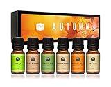 P&J Fragrance Oil Autumn Set | Brown Sugar, Apple, Harvest Spice, Vanilla, Forest Pine, and Snickerdoodle Scents for Candle Making, Freshie Scents, Soap Making Supplies, Diffuser Oil Scents