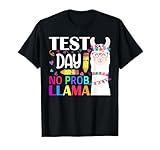 Test Day No Prob-llama Llama Teacher Testing Day Men Women Girls Kids T-Shirt