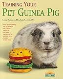 Training Your Guinea Pig (Training Your Pet Series)