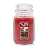 Yankee Candle Sparkling Cinnamon Scented, Classic 22oz Large Jar Single Wick Candle, Over 110 Hours of Burn Time | Holiday Gifts for All: Perfect for Fall and Winter Decor