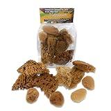 Lullingworth® Artist Natural Sea Sponges: Unbleached 10 Pack 2"-4" Value Set; Creative Art, Faux Painting Effects, Watercolor, Texturing, Marbling, Clay, Pottery, Ceramics, Crafts & Hobbies