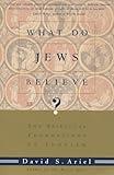 What Do Jews Believe?: The Spiritual Foundations of Judaism