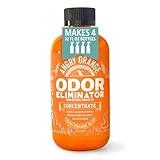 Angry Orange Pet Odor Eliminator for Home - 8oz Dog and Cat Pee Smell Remover for Carpet, Grass, Tile and Furniture - Citrus Concentrate, Makes 128oz of Liquid