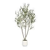VIVATREES Olive Trees Artificial Indoor, 6FT Tall Faux Olive Tree with White Tall Planter, Artificial Plants with Natural Wood Trunk and Lifelike Fruits for Home Office Decor