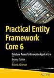 Practical Entity Framework Core 6: Database Access for Enterprise Applications