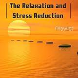 The Relaxation and Stress Reduction Playlist - Self-Help New Age Music