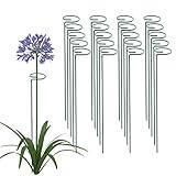 Thealyn 20 Pack 16 Inch Plant Support Stakes, Metal Single stemmed Flower Support Hoops，Garden Plant Stakes Plant Prop for Amaryllis Orchid Lily Rose Peony Tomatoes Gladiolus