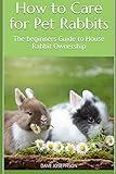 How to Care for Pet Rabbits: The beginners Guide to House Rabbit Ownership