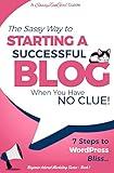 Starting a Successful Blog when you have NO CLUE! - 7 Steps to WordPress Bliss... (Beginner Internet Marketing Series)