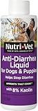 Nutri-Vet Anti-Diarrhea Liquid for Dogs and Puppies, Puppy Supplements for Digestive Health, Dog Essentials for Gut Support, Pet Vitamins, Probiotic Alternative, Puppy Supplies, Made in USA, 4oz