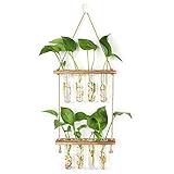 HYINDOOR Wall Hanging Planter Terrarium 2 Tired Test Tube Vase Glass Planter Plant Propagation Station Plant Hangers of Rope with Wooden Stand and 8 Tubes for Hydroponic Plant Cutting