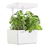 Back to the Roots Hydroponic Grow Kit, Indoor Garden with Light (Matte White), Organic Seeds Included, Gardening Gift, Everything Included