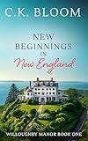 New Beginnings in New England (Book 1 Willoughby Manor)