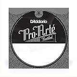 D'Addario Sngl Rectified Nylonon 021 (Nylon021)