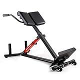 LIONSCOOL Heavy-Duty Adjustable Roman Chair - Back Extension Bench with Multiple Adjustment Functions- Hyperextension Bench Perfect for Home Gym (RED, 45° Bench)