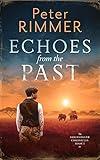 Echoes from the Past (The Brigandshaw Chronicles Book 1)