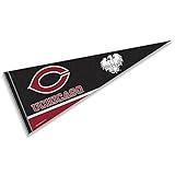 College Flags & Banners Co. Chicago Pennant Full Size Felt