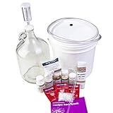 1 Gallon Wine from Fruit Kit