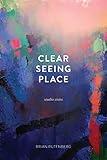 Clear Seeing Place: Studio Visits