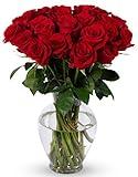 Benchmark Bouquets, 24 Stem Red Roses, Glass Vase Included, Gift Fresh Flowers for Christmas, Holiday, Birthday, Anniversary, Sympathy, Congratulations, Thank You