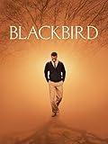 Blackbird