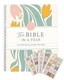 The Study the Bible for 1 year: A 52-Week Bible Study Guide for Women, A Beautiful Year in the Bible((Letter Size) 1pc)