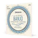 D'Addario Banjo Strings, Phosphor Bronze, EJ69, Light Gauge 9-20, 5-String Set, Pack of 1