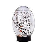 Biosphere Ecosystem,Mini Aquarium Fish Tank Ecosphere Closed Aquatic Ecosystem with Led Light Desktop Aquarium Stable Black Base No Need to Feed Or Change Water