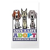 CafePress Adopt A Shelter Dog Rectangle Sticker Rectangle Bumper Sticker Car Decal