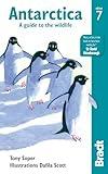 Antarctica: A Guide to the Wildlife (Bradt Travel Guide)