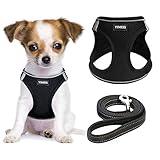 YIMEIS Dog Harness and Leash Set, No Pull Soft Mesh Pet Harness, Reflective Adjustable Puppy Vest for Small Medium Large Dogs, Cats (Black, X-Small (Pack of 1))