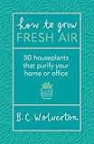 How To Grow Fresh Air: 50 Houseplants To Purify Your Home Or Office
