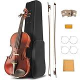 Ceciliec 4/4 Violin for Beginners, Acoustic Full Size Violin Starter Kit for Student, Stringed Musical Instrument w/Case, 2 Violin Bows, 2 Bridges, Strings, Rosin, Cleaning Cloth