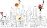 Glass Bud Vases -Set of 20 for Flowers, Small Clear Bud Vases in Bulk for Centerpieces Home Decor, Mini Glass Assorted for Rustic Wedding Floral Arrangements Home Table Decorations