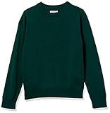 Amazon Essentials Boys' Uniform Cotton Crewneck Sweater, Green, XX-Large