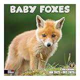 RED EMBER Baby Foxes 2025 Wall Calendar 12 Month | 12" x 24" Open | Thick & Sturdy Paper | Giftable | Calendar 2025