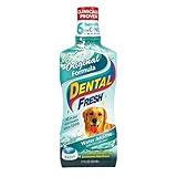 Dental Fresh Water Additive for Dogs, Original Formula, 17oz – Dog Breath Freshener and Teeth Cleaning for Dental Care– Add to Water