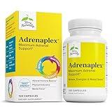 Terry Naturally Adrenaplex - Adrenal Gland Function Supplement - Glandular Support Supplement with Vitamins C & B6 - Dietary Supplement to Support Healthy Adrenal Function - 120 Capsules