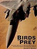 Birds of Prey: Aircraft, Nose Art & Mission Markings of Operation Desert Shield/Storm