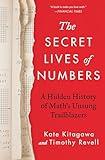 The Secret Lives of Numbers: A Hidden History of Math's Unsung Trailblazers