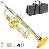 Fesley Bb Standard Trumpet Set: Brass Trumpets for Beginner Student, Brass Trumpet Instrument with 7C Mouthpiece, Hard Case, Cleaning Kit (Golden)