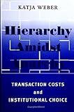 Hierarchy amidst Anarchy: Transaction Costs and Institutional Choice (Global Politics)
