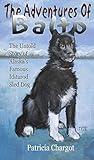 The Adventures of Balto: The Untold Story of Alaska's Famous Iditarod Sled Dog