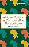 African Politics in Comparative Perspective