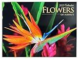 Islander Hawaii Hawaiian 2025 Twelve Month Wall Calendar (Flowers of Hawaii)