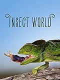 Insect World