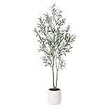 LOMANTO Artificial Olive Trees, 5 ft Tall Fake Olive Trees for Indoor, Faux Olive Silk Tree, Large Olive Plants with White Planter for Home Decor and Housewarming Gift, 1 Pack
