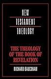 The Theology of the Book of Revelation (New Testament Theology)